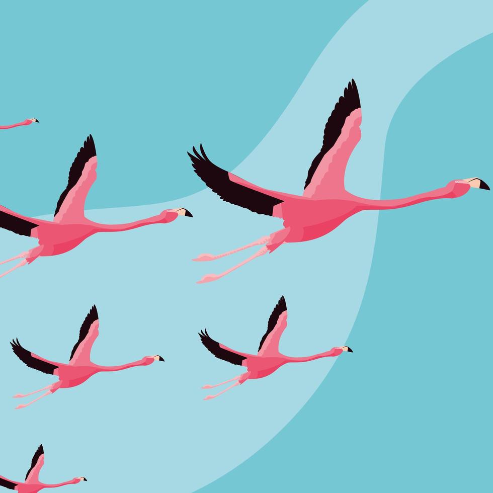 vackra flamingofåglar flockar vektor