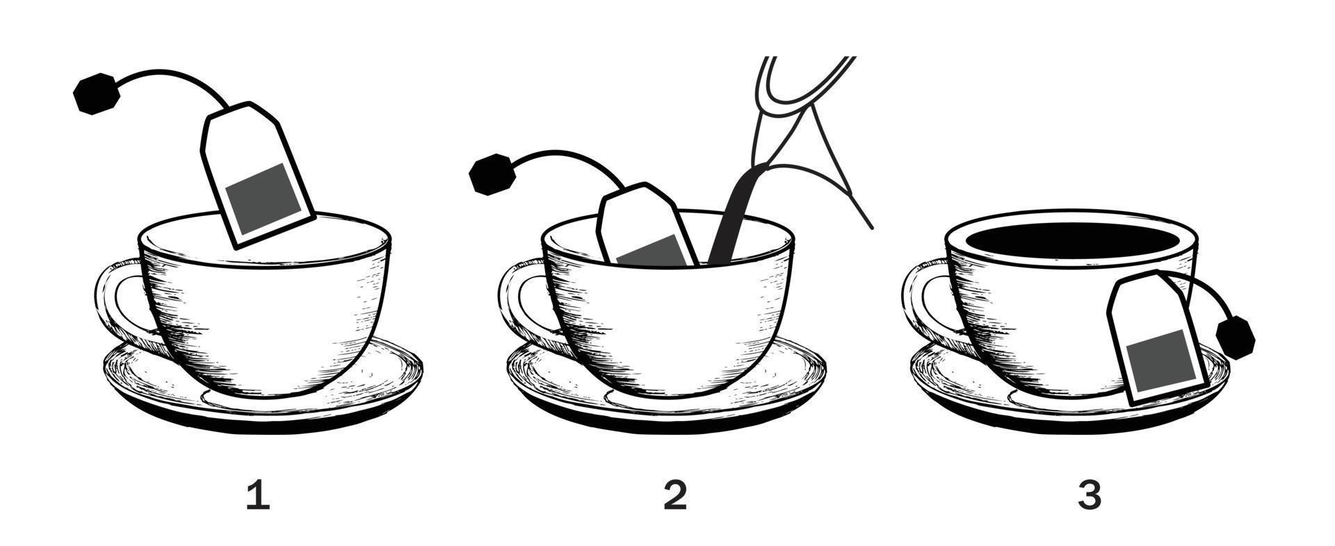 Schritte zum Aufbrühen von Tee. Vektor-Illustration isoliert auf weißem Hintergrund. vektor