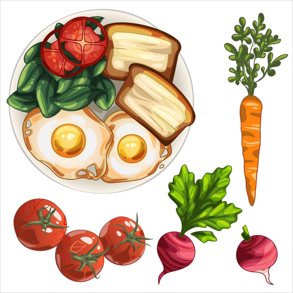 friska tallrik med ägg, rostat bröd med Smör, spenat och tomater. Ingredienser morot och rädisa vektor