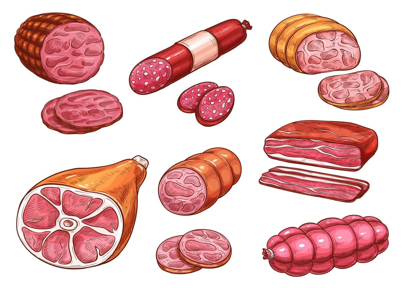 korv skiss av nötkött och fläsk kött produkt vektor