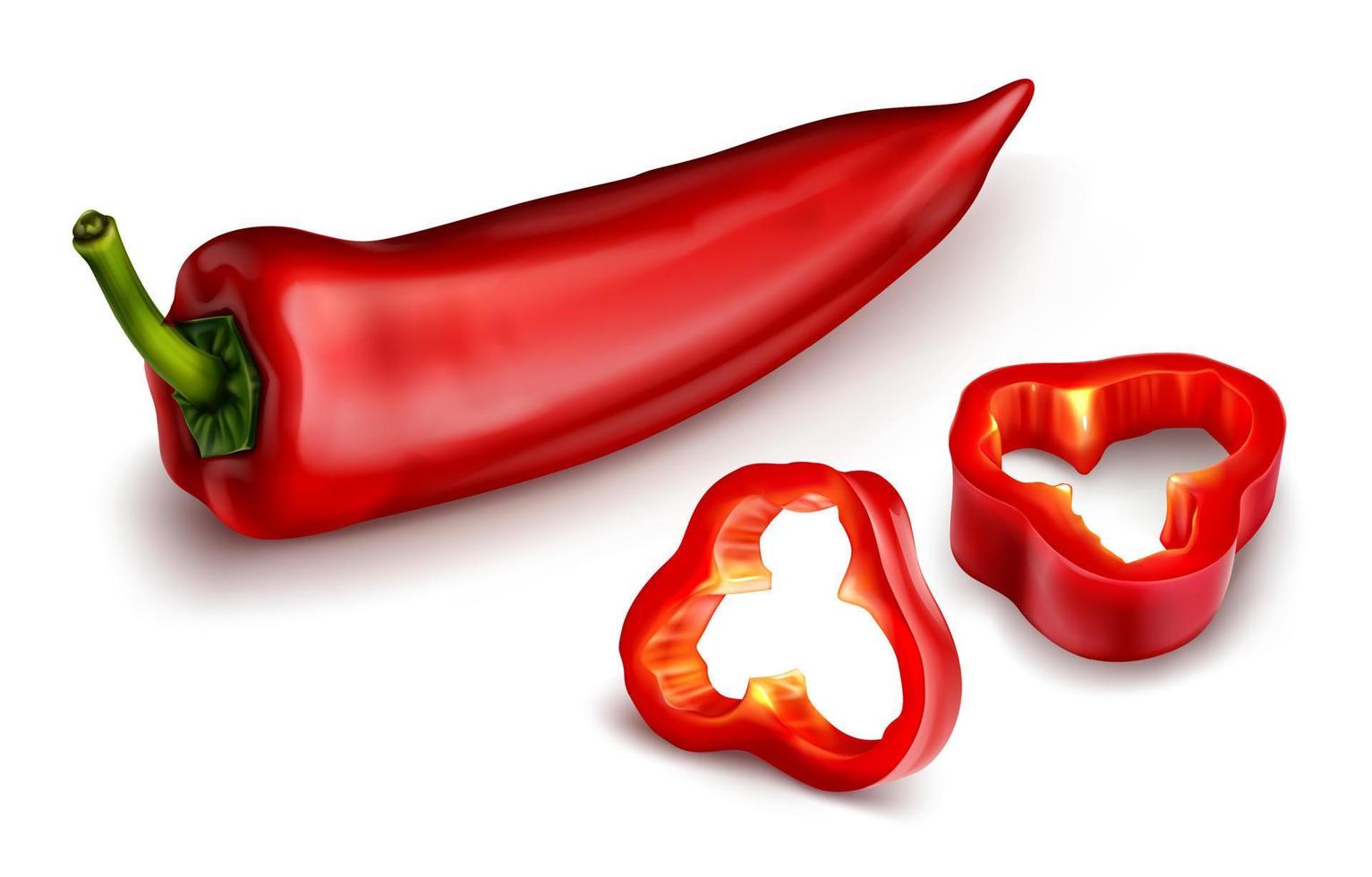 röd chili peppar, varm kryddad paprika kajenn vektor