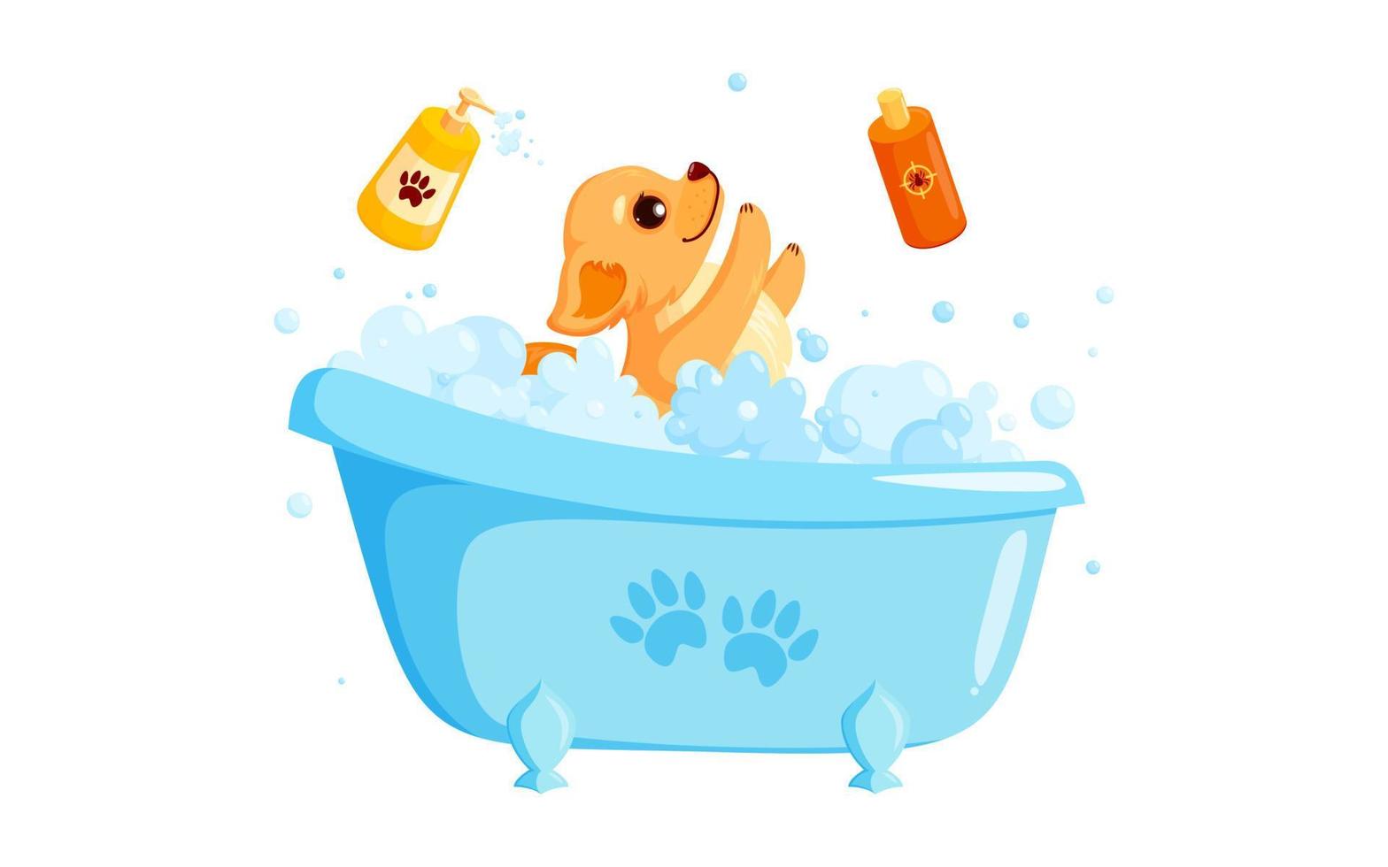 hund grooming i en bad med sällskapsdjur schampo. lekfull chihuahua valp i grooming service. vektor illustration