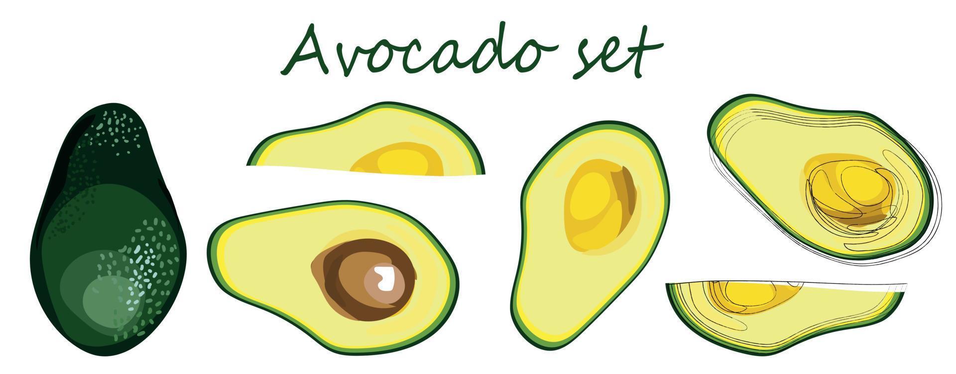avokado ikoner uppsättning. ljus grön hela frukt eller grönsaker, halv, skivor. vektor platt illustration
