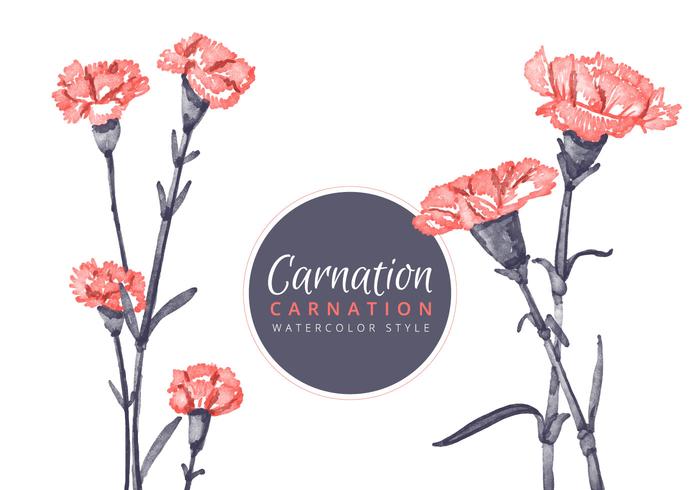 Gratis Carnation Flowers Bakgrund vektor