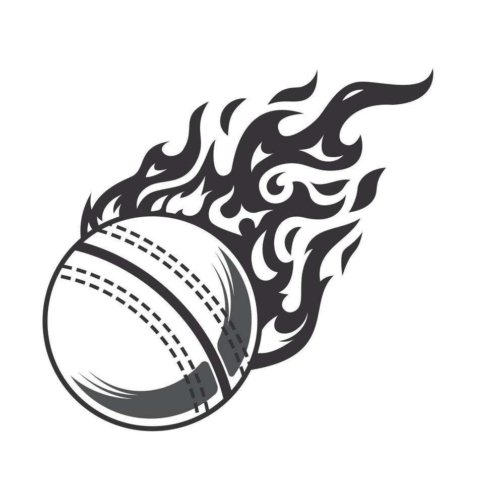 heiße Cricket-Ball-Feuer-Logo-Silhouette. Cricket-Club-Grafikdesign-Logos oder -Symbole. Vektor-Illustration. vektor