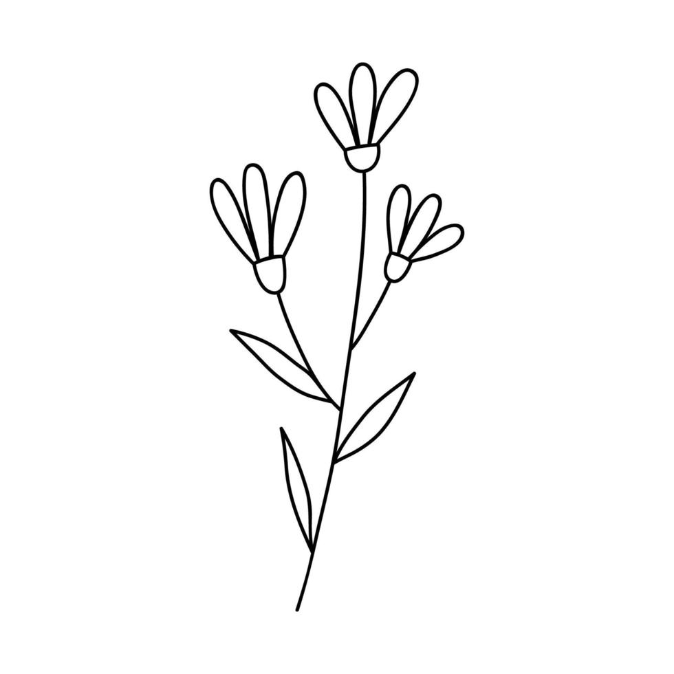 söt klotter blomma isolerat på vit bakgrund. vektor ritad för hand illustration. perfekt för kort, logotyp, dekorationer, olika mönster. botanisk ClipArt.