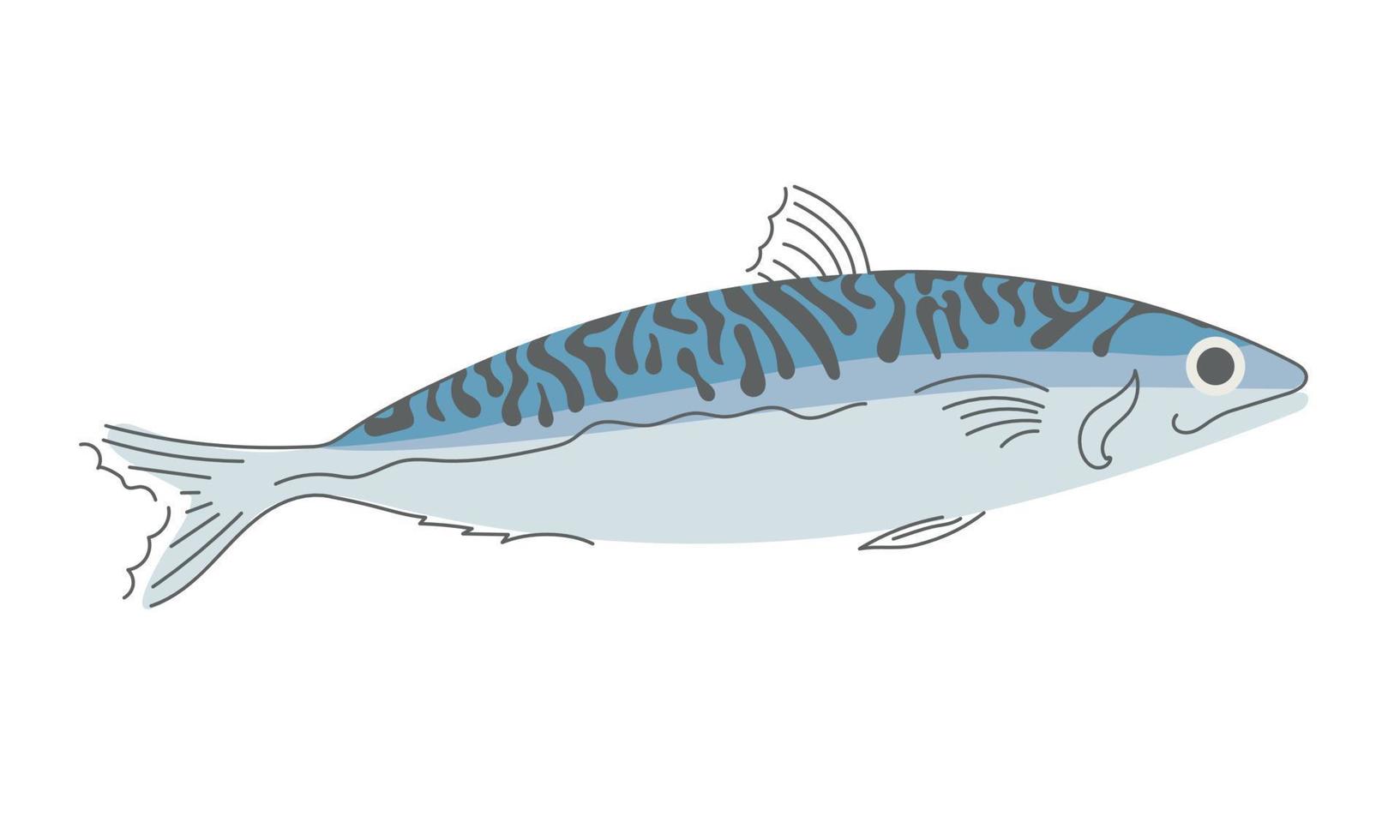 makrill fisk. färsk skaldjur. vektor illustration på vit bakgrund