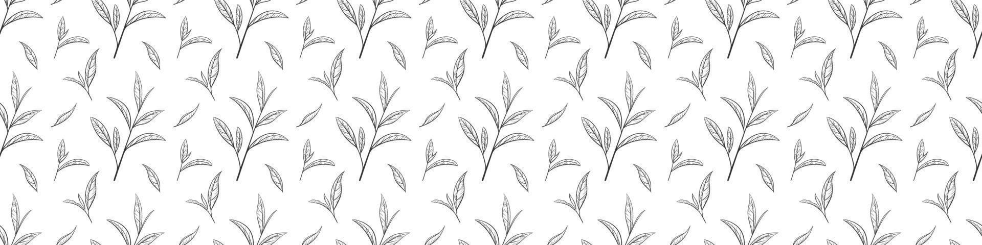 sömlös mönster av grön te löv, vektor illustration. bakgrund hand dragen för skriva ut och design. skiss te organisk mat och dryck. översikt av växt och träd blad på en vit bakgrund