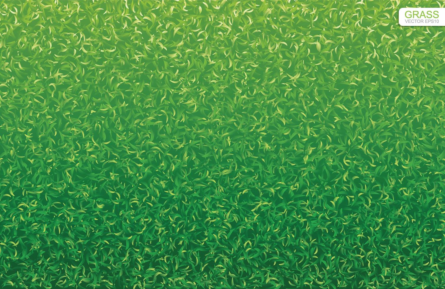 grön gräsmatta gräs konsistens vektor