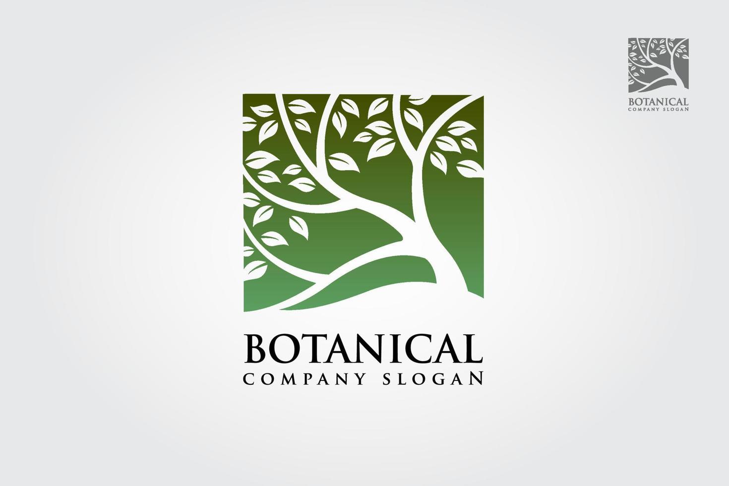 botanische vektorlogoillustration. grüne Baum-Logo-Vorlage. sauberer und moderner Stil auf weißem Hintergrund. das quadratische Vektor-Logo-Design des grünen Baums vektor