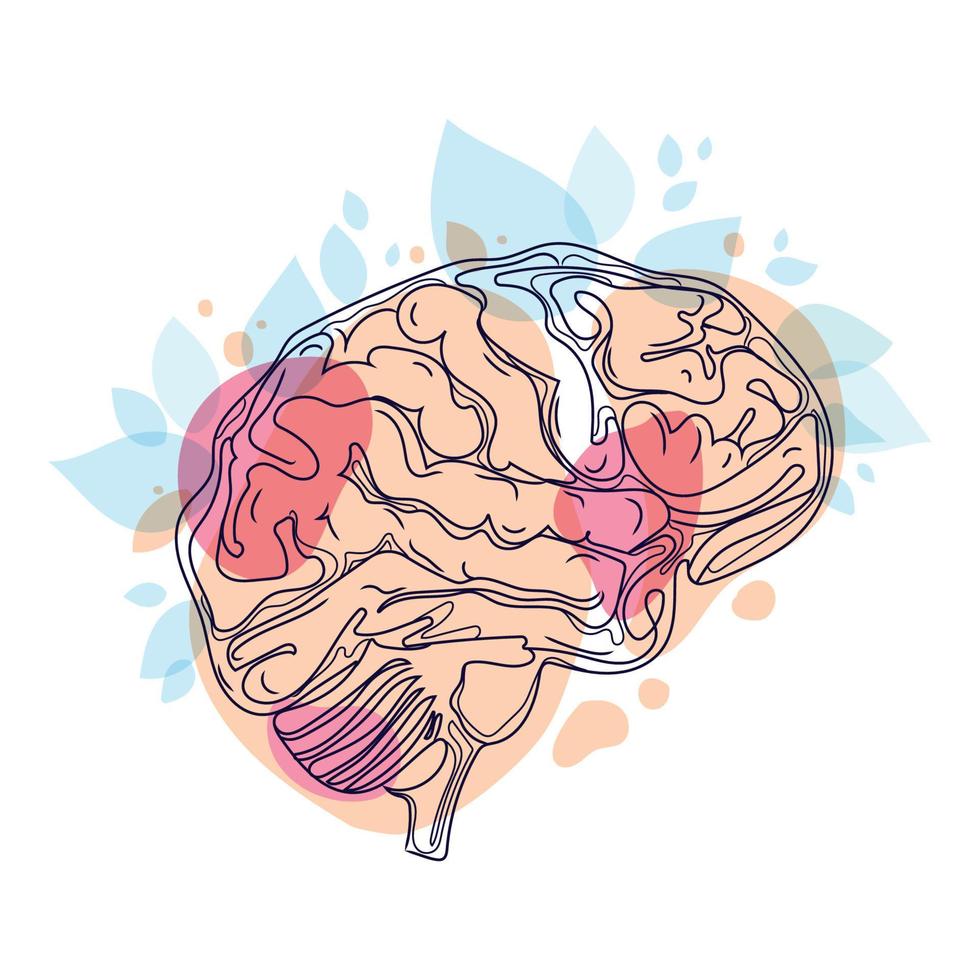 mänsklig hjärna minimal konst linje teckning vektor illustration.brain med färgad abstrakt former och växter, löv modern kreativ tänkande begrepp design.anatomisk mänsklig organ isolerat på vit