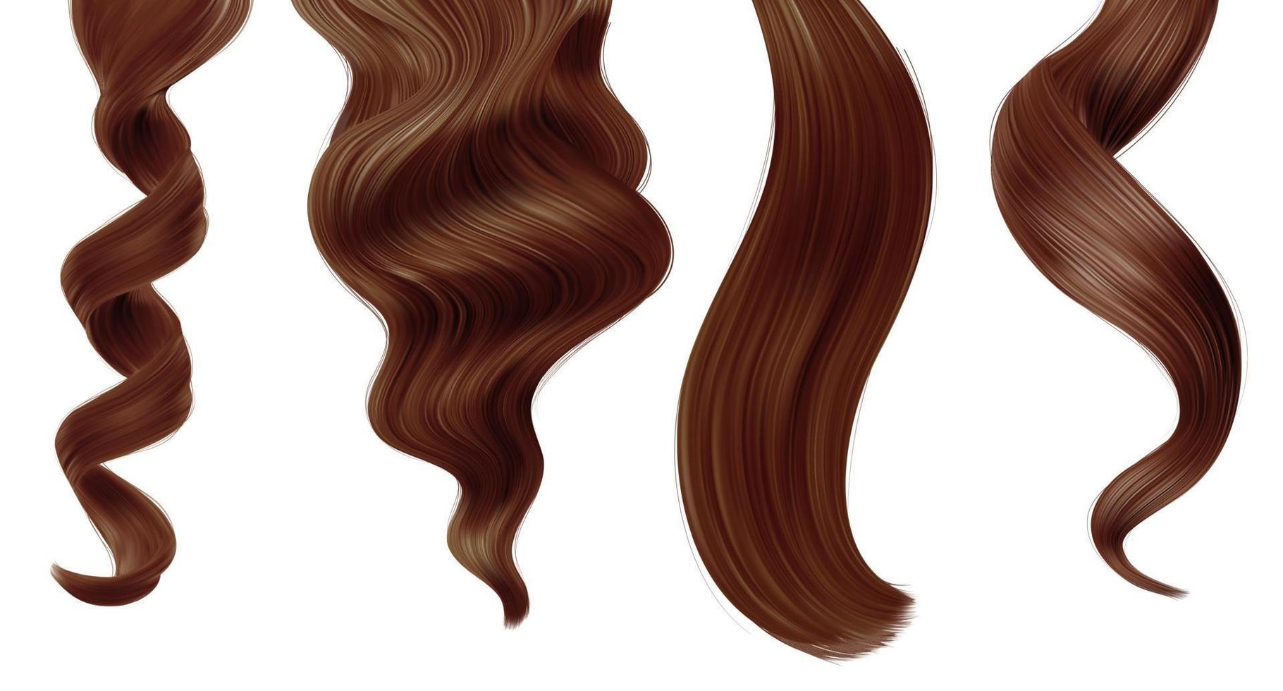 skinande brun kvinna hår trådar, hetero hästsvans vektor