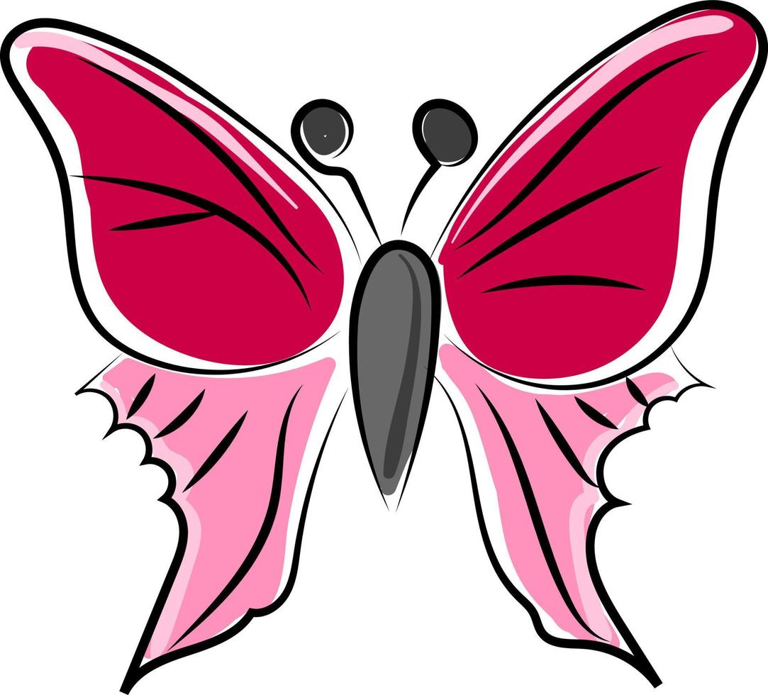 rosa fjäril, illustration, vektor på vit bakgrund.