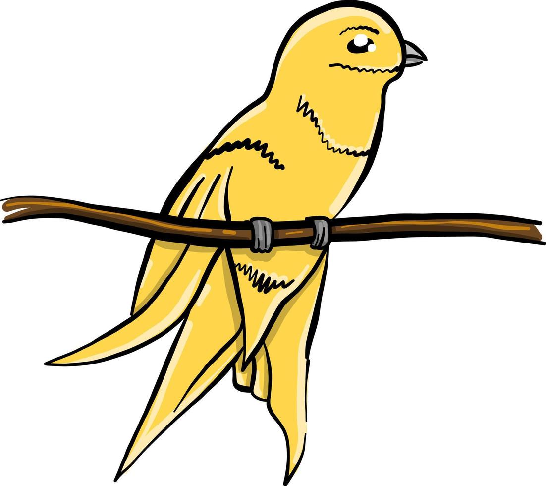 gelber Vogel auf Ast, Illustration, Vektor auf weißem Hintergrund