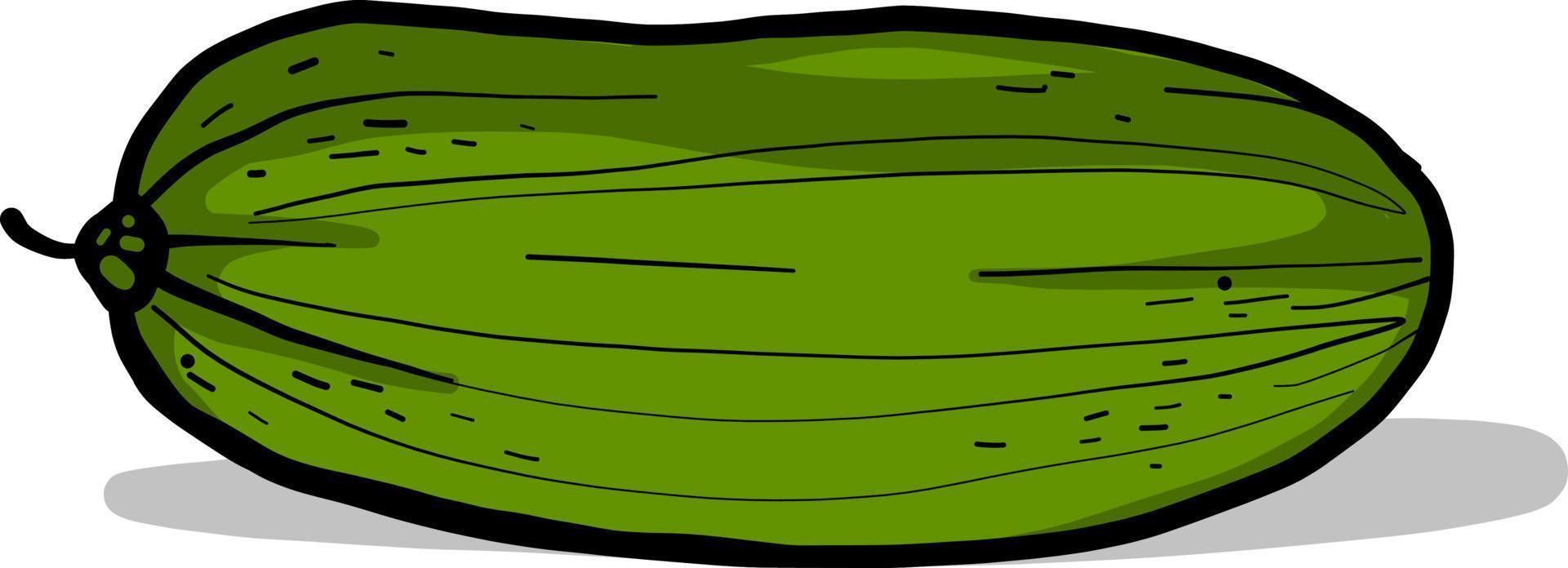 grüne Gurke, Illustration, Vektor auf weißem Hintergrund