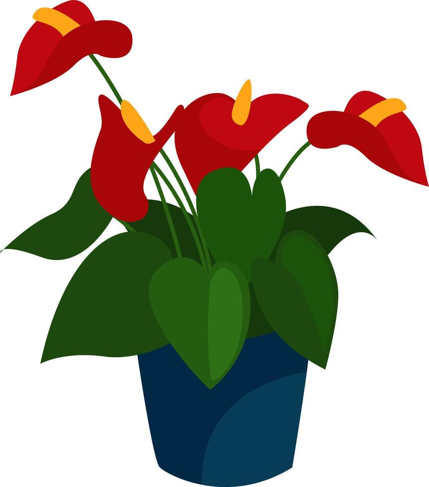 röd blomma i pott, illustration, vektor på vit bakgrund
