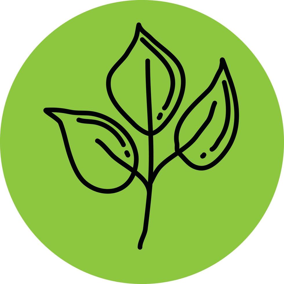 grüne Gartenpflanze mit drei Blättern, Illustration, Vektor auf weißem Hintergrund