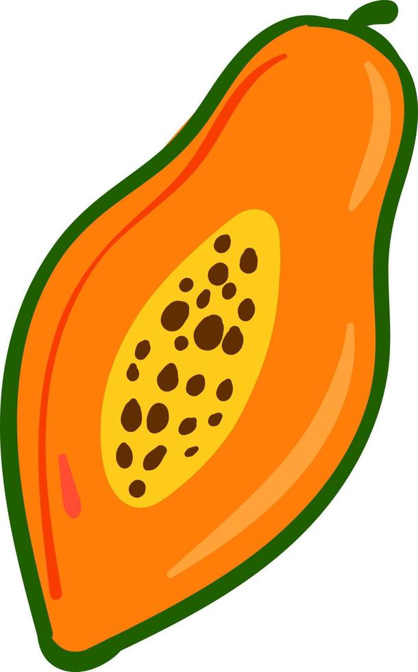 offene Papaya, Illustration, Vektor auf weißem Hintergrund