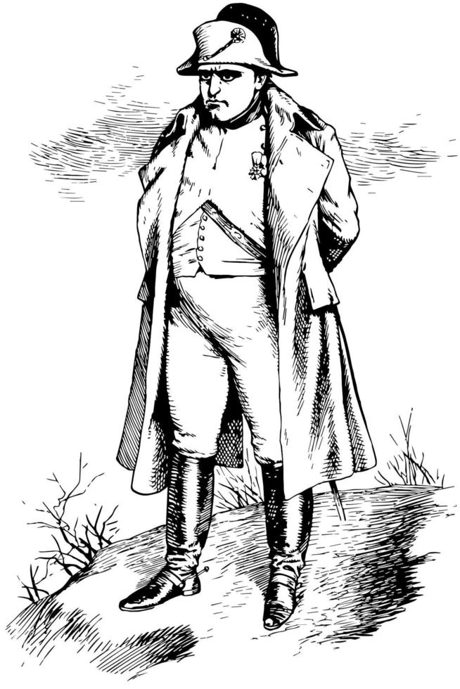 napoleon, vintage illustration vektor