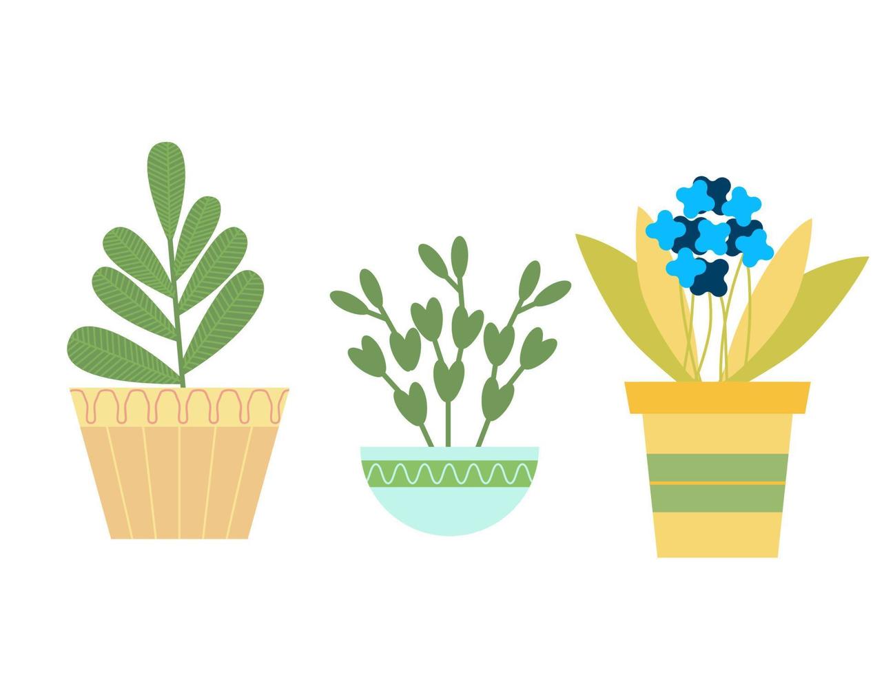 Sammlung von drei Zimmerpflanzen. Vektor-Illustration im flachen Stil auf weißem Hintergrund. vektor