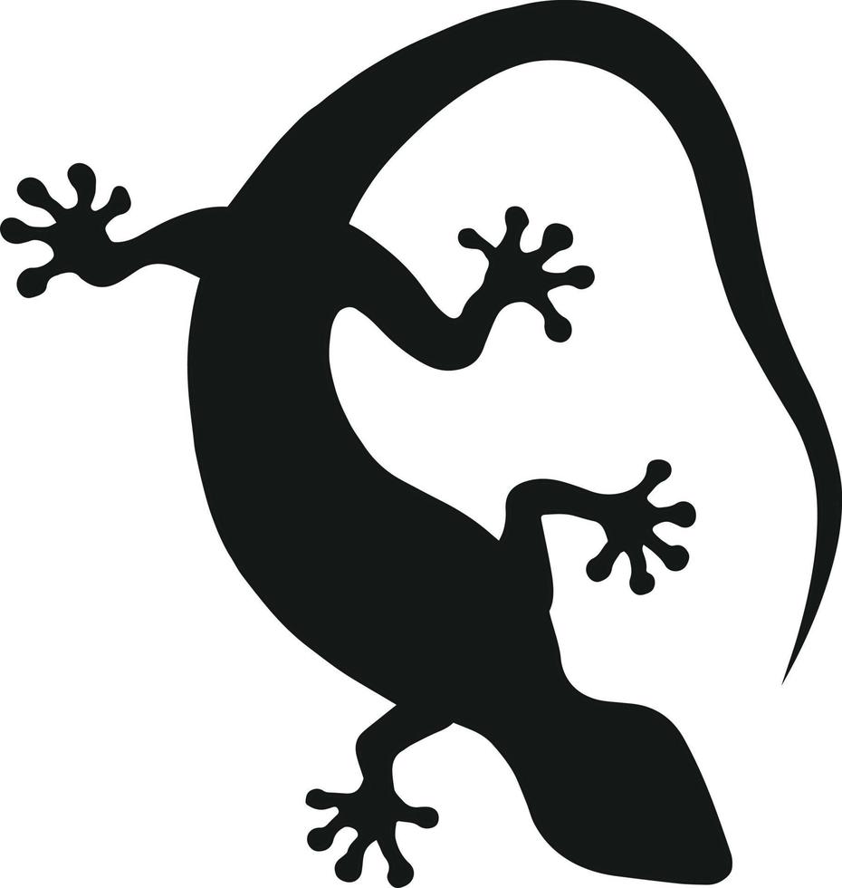 Tokay gekko Silhouette auf weißem Hintergrund. schwarze handgezeichnete Vektorgrafiken eines gekko. Illustration einer Eidechse vektor