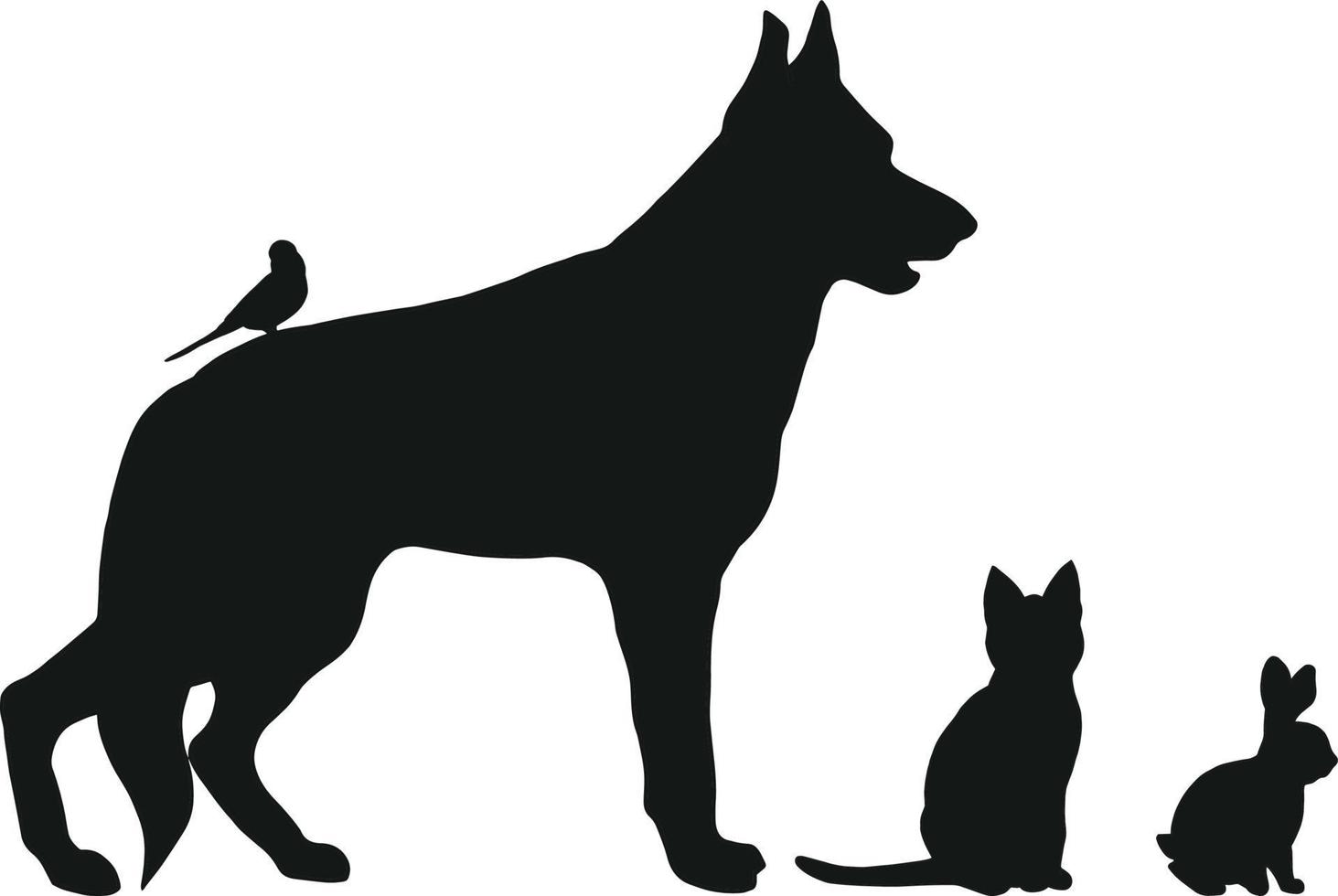 verschiedene Haustiere Silhouetten auf weißem Hintergrund. vektorillustration von hund, katze, wellensittich und kaninchen in schwarzer farbe. handgezeichnete kunst von tieren. Haustiere isoliert vektor