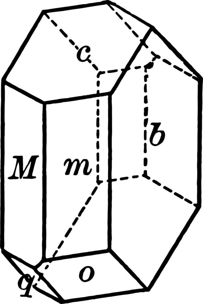 albit årgång illustration. vektor