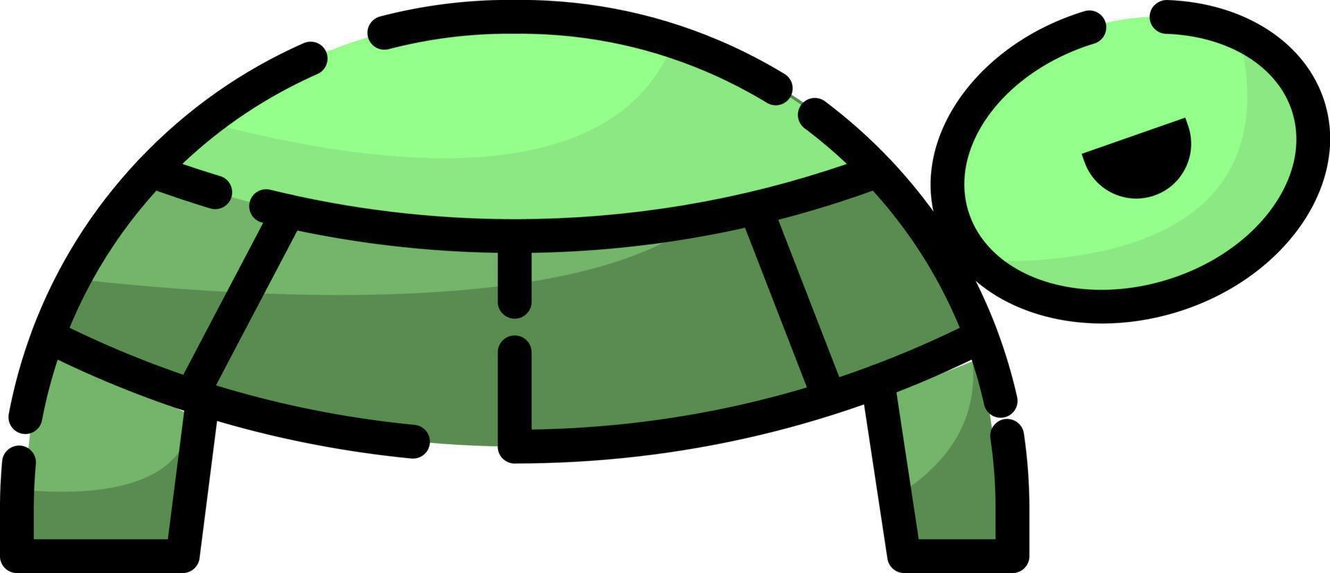Grüne Schildkröte, Illustration, Vektor auf weißem Hintergrund.