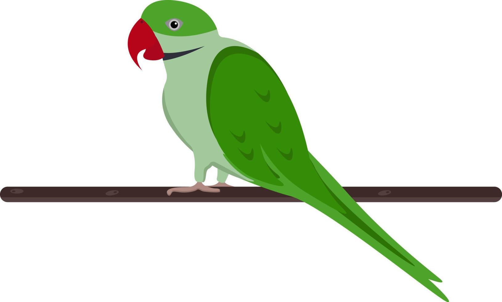 grön papegoja ,illustration, vektor på vit bakgrund.