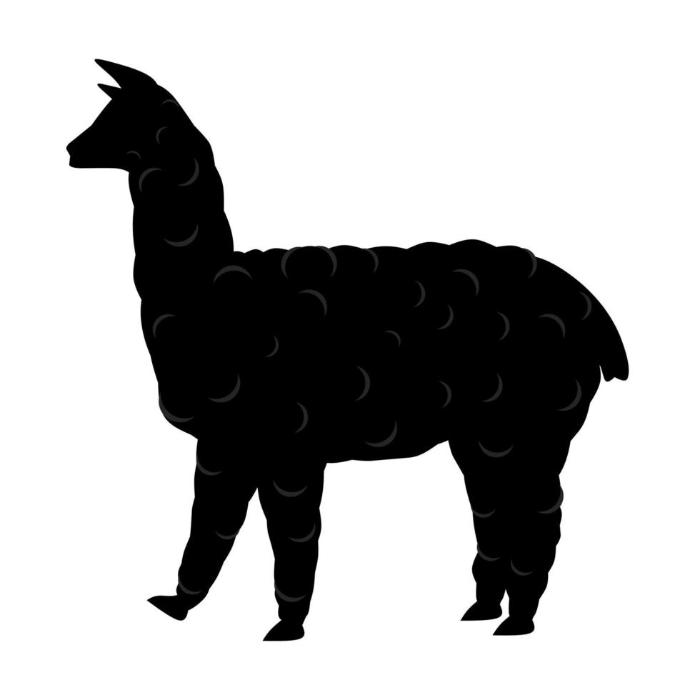 Vektor-Illustration eines Alpaka-Lamas auf weißem Hintergrund. ideal für pelzige tierlogos vektor