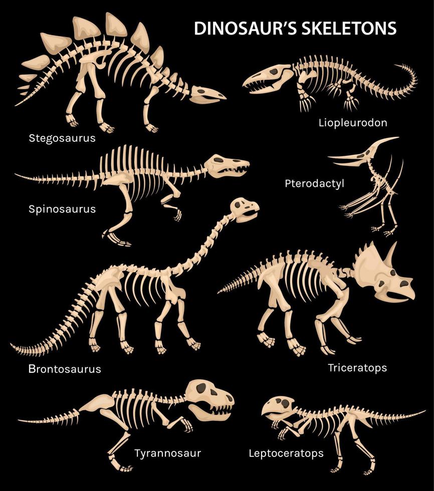 dinosaurie skelett svart uppsättning vektor