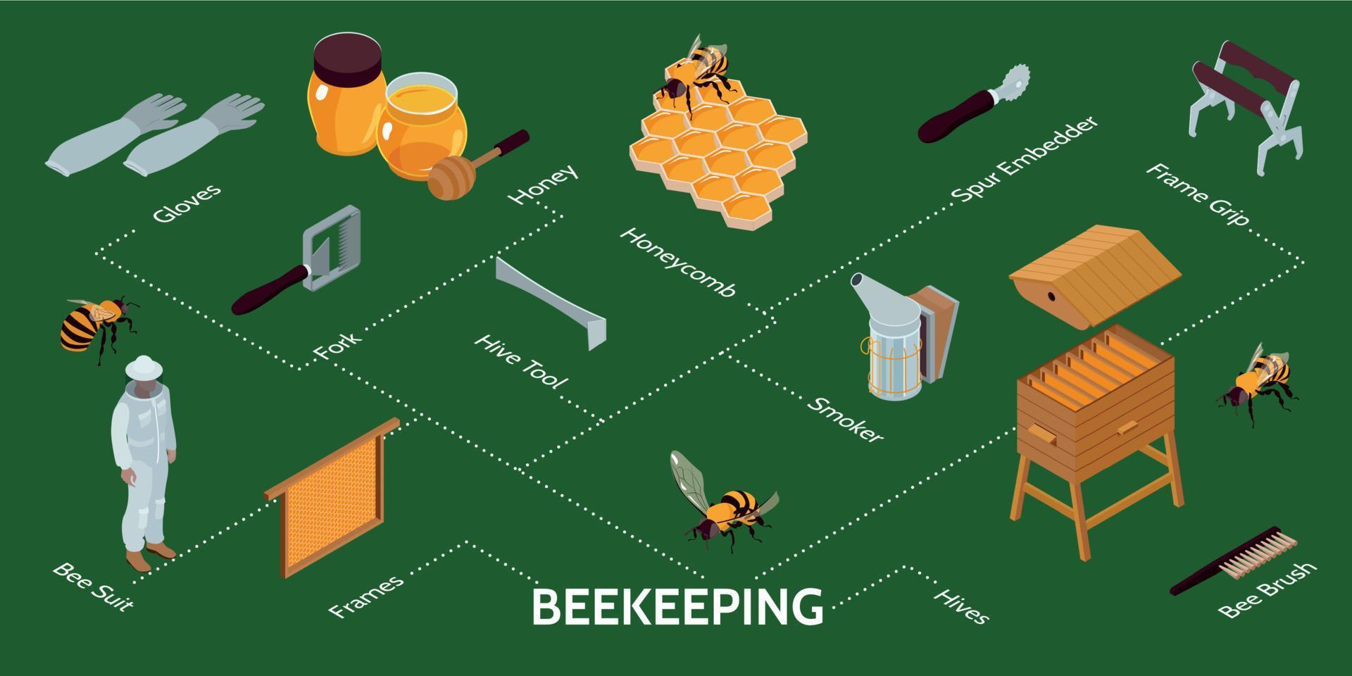 biodling isometrisk infographics vektor