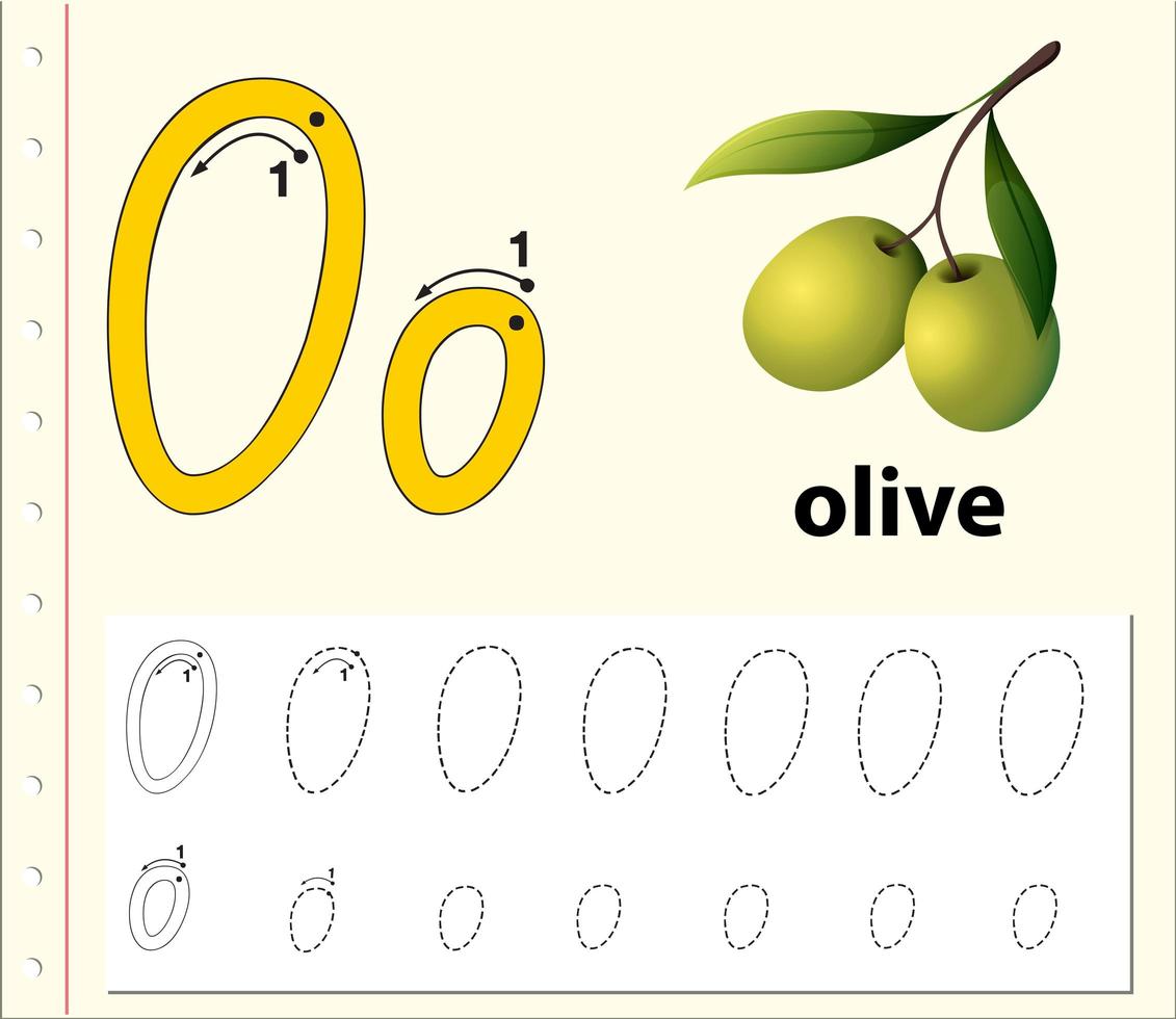 Buchstabe o Tracing Alphabet Arbeitsblatt mit Oliven vektor