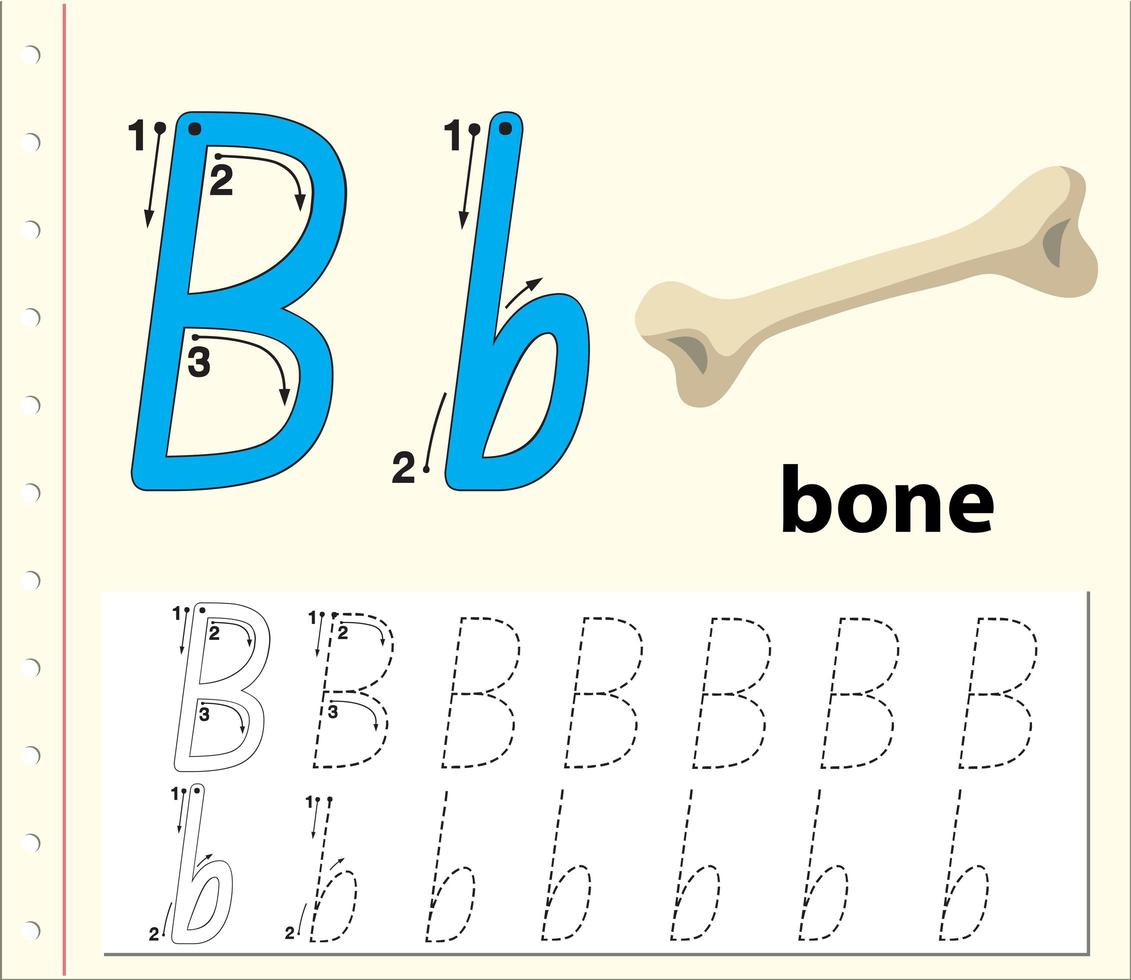 Buchstabe b, das Alphabetarbeitsblatt mit Knochen nachzeichnet vektor
