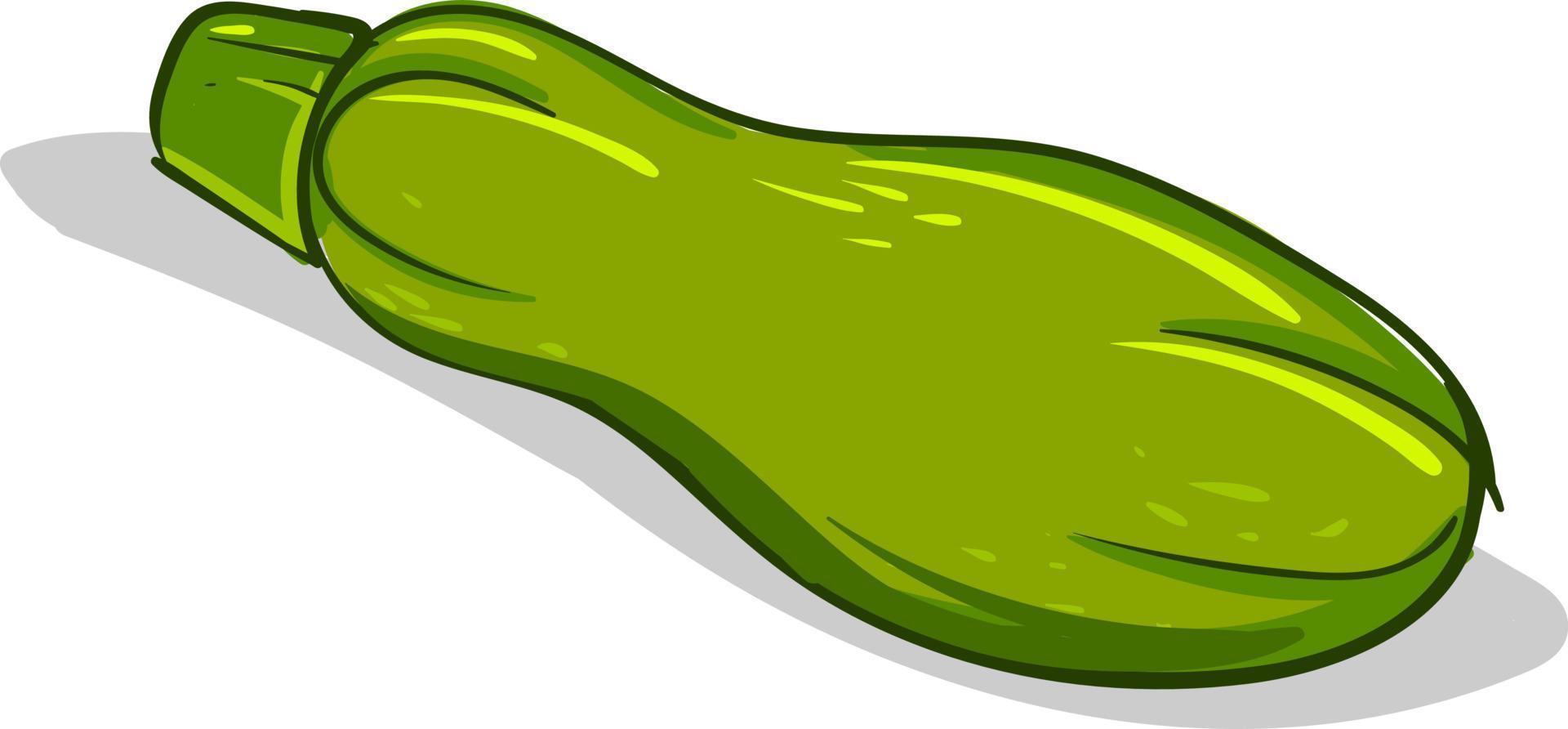 Zucchini flach, Illustration, Vektor auf weißem Hintergrund