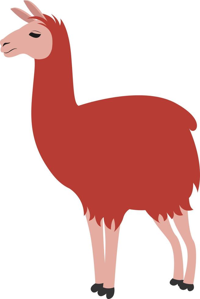 rotes Lama, Illustration, Vektor auf weißem Hintergrund.