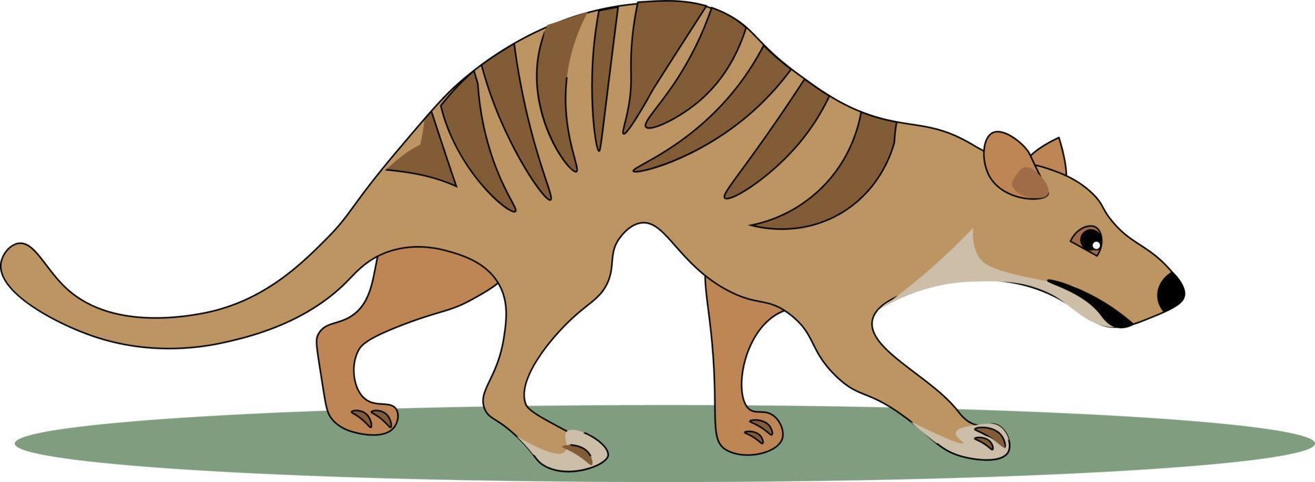 tasmaniska Varg, illustration, vektor på vit bakgrund.