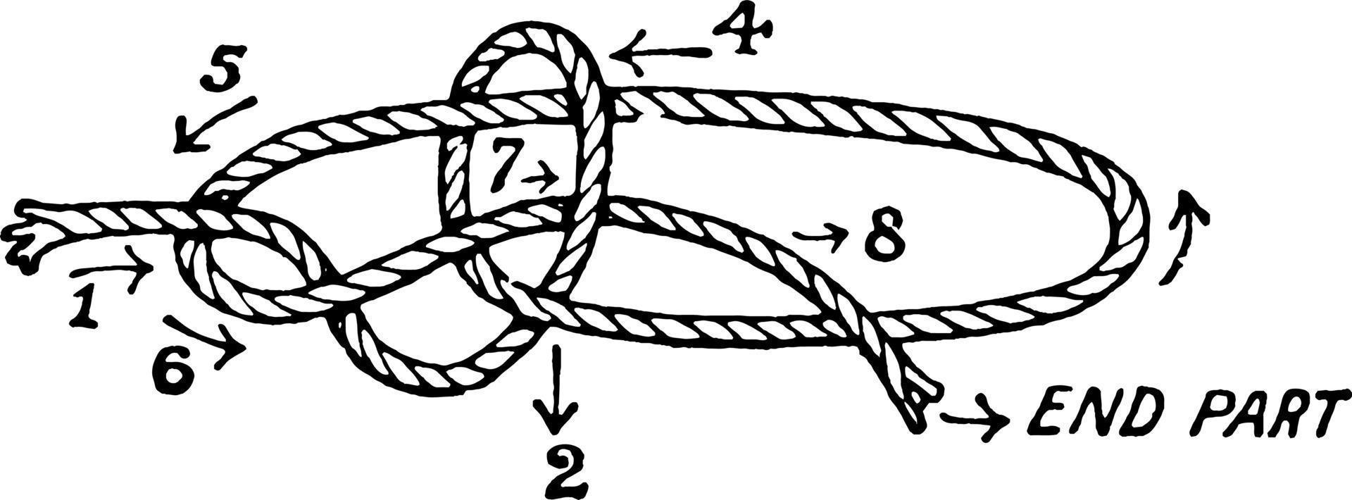 Knoten gemeinsamen Palstek, Vintage Illustration vektor