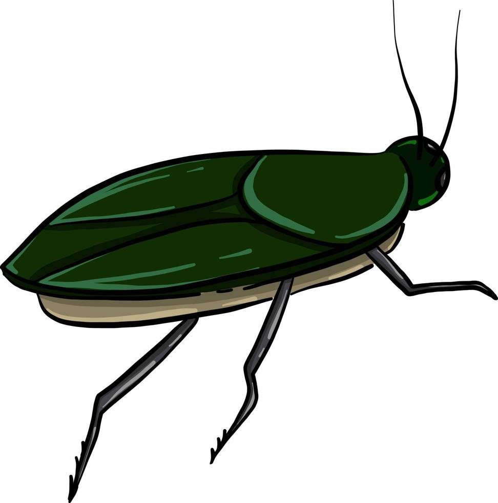 Grüne Kakerlake, Illustration, Vektor auf weißem Hintergrund
