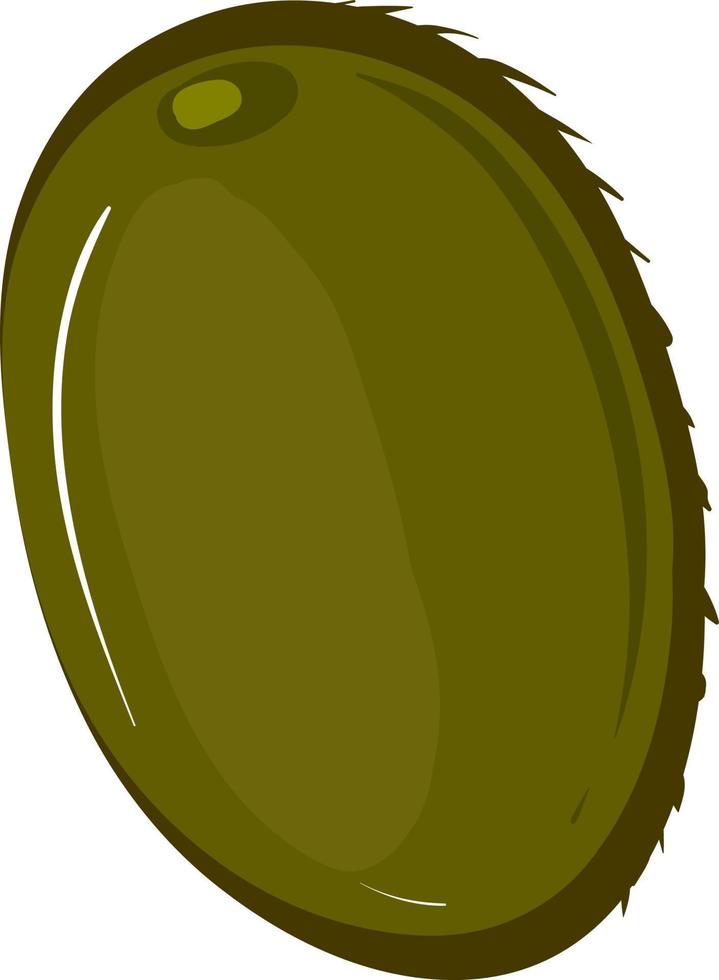 grön kiwi, illustration, vektor på vit bakgrund.