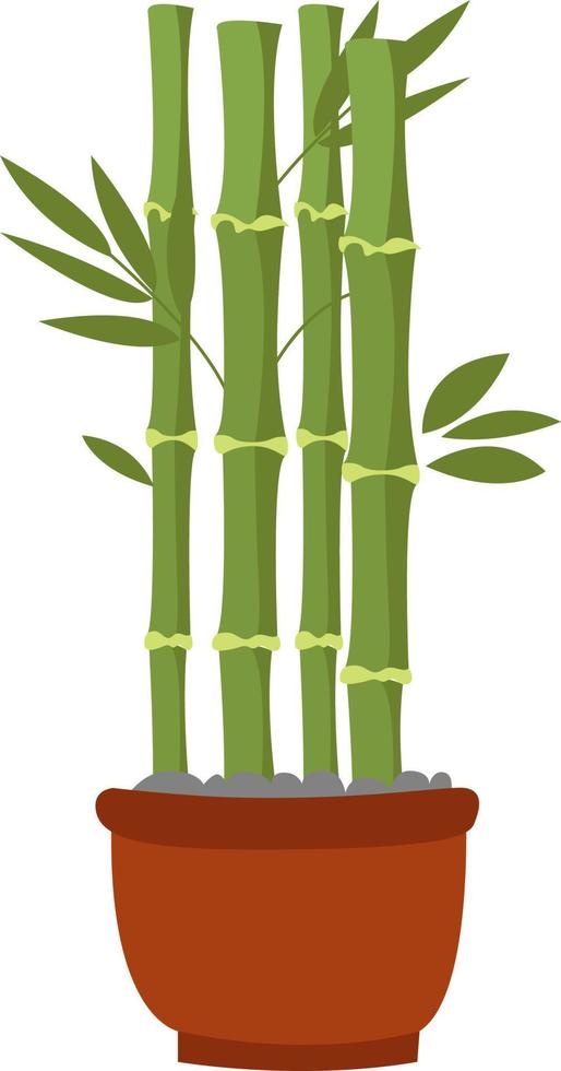 bambu växt, illustration, vektor på vit bakgrund