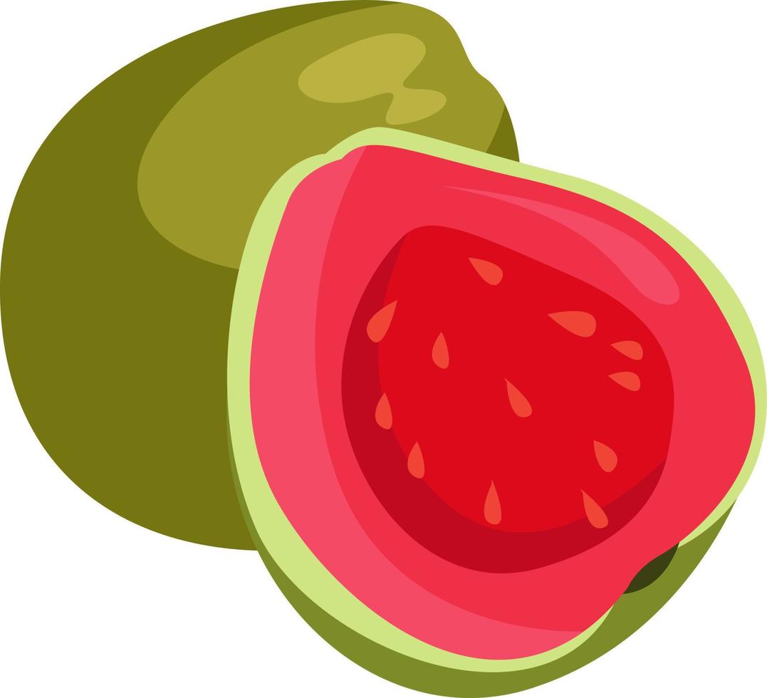 grön guava, illustration, vektor på vit bakgrund