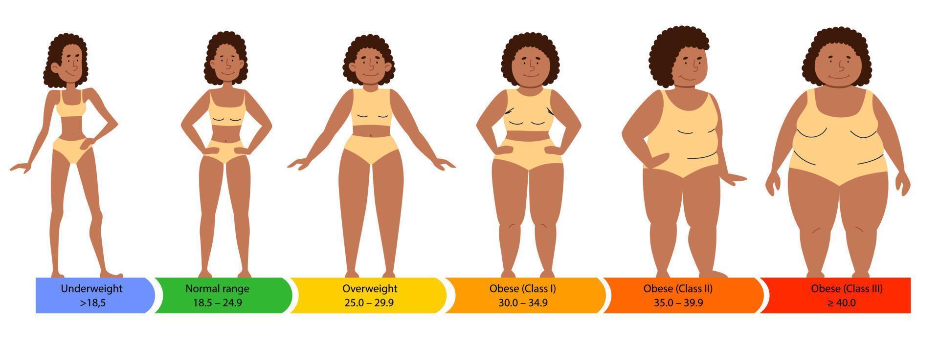 kategorier med kropp massa index. kvinna silhuetter av ett afrikan-amerikan kvinna med en fett, vanligt och smal figur. vektor