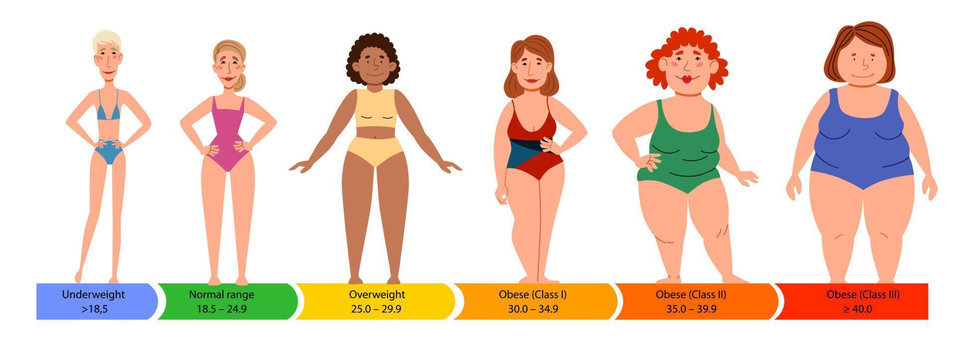 Kategorien mit Body-Mass-Index. weibliche Silhouetten mit einer dicken, normalen und schlanken Figur. vektor