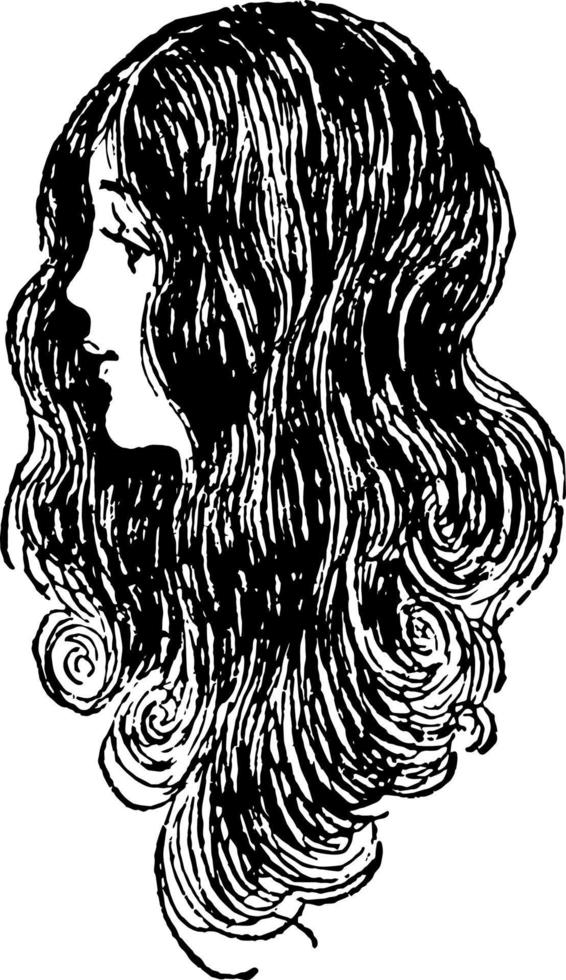 lång hår av en kvinna, årgång illustration. vektor
