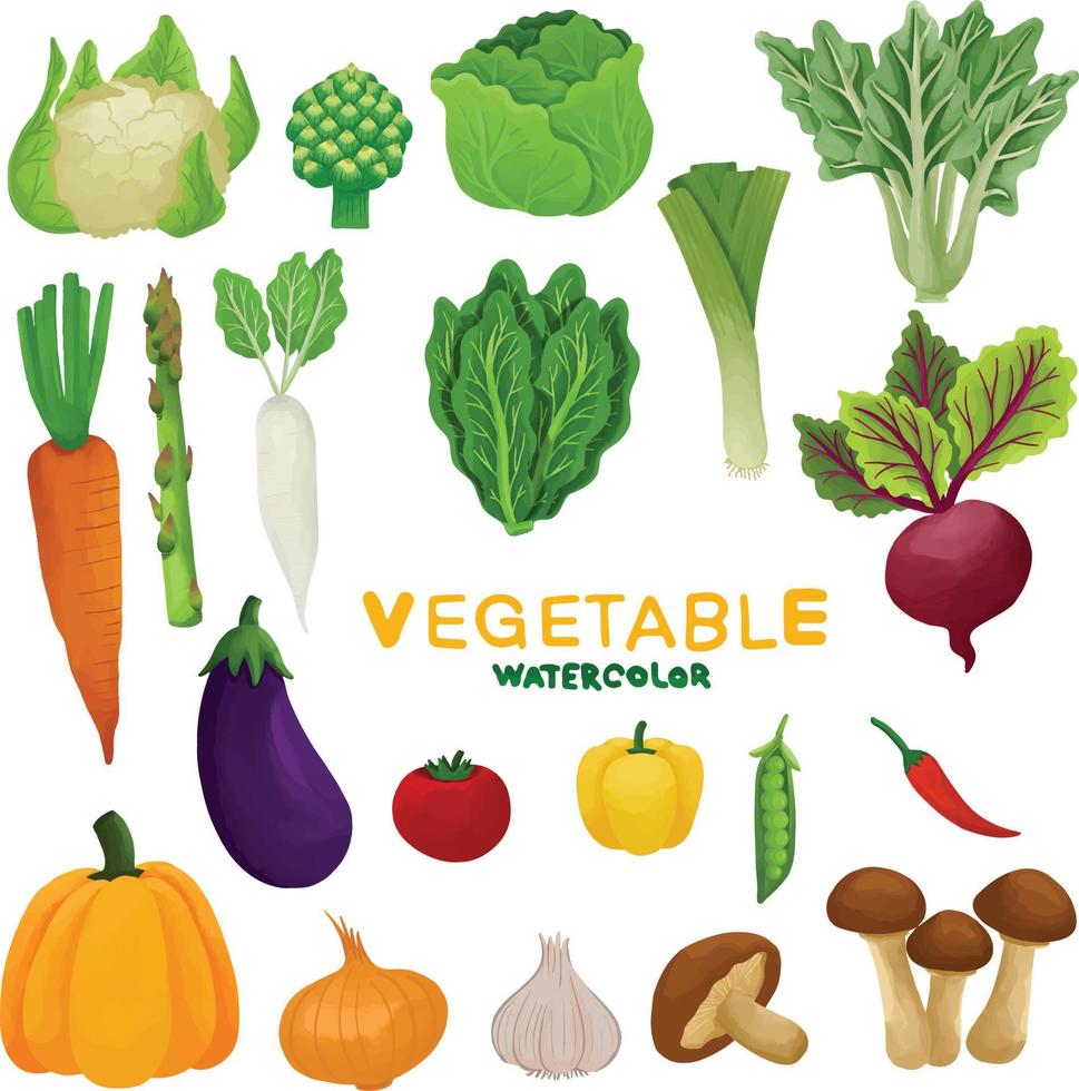 uppsättning av vattenfärg färsk vegetabiliska ClipArt vektor