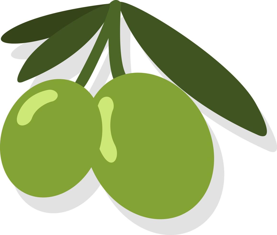 grön oliver, illustration, vektor på en vit bakgrund