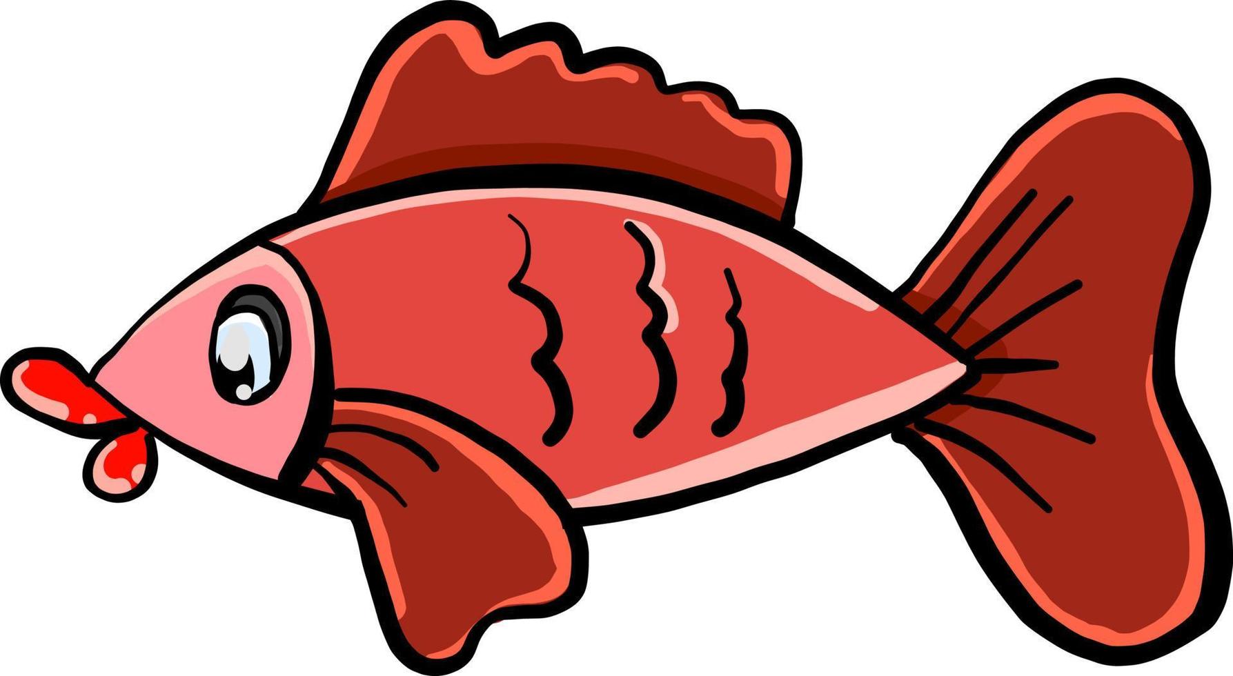 Roter Fisch, Illustration, Vektor auf weißem Hintergrund.