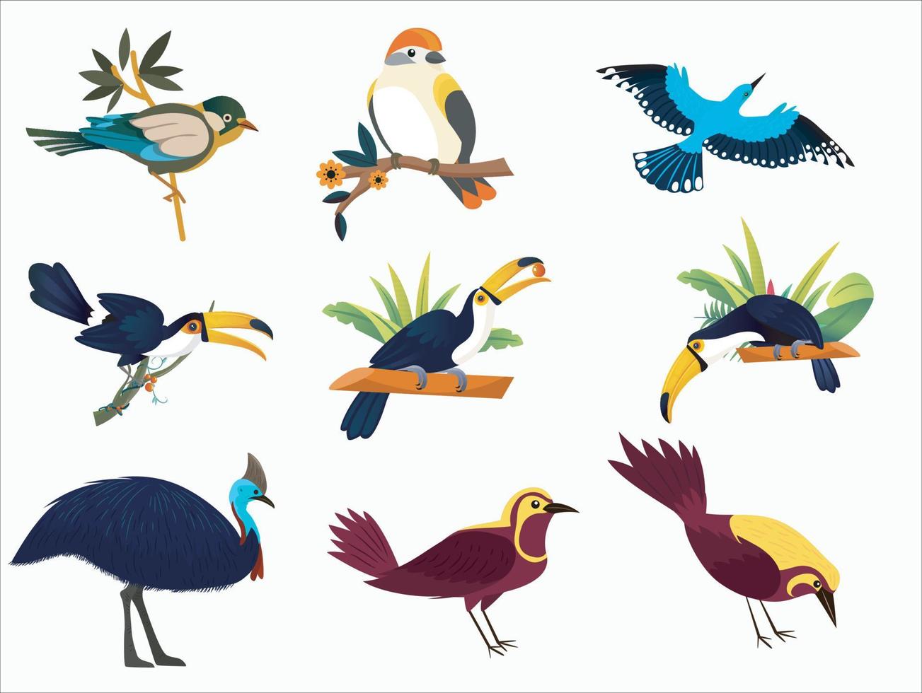 annorlunda typer av fåglar vektor