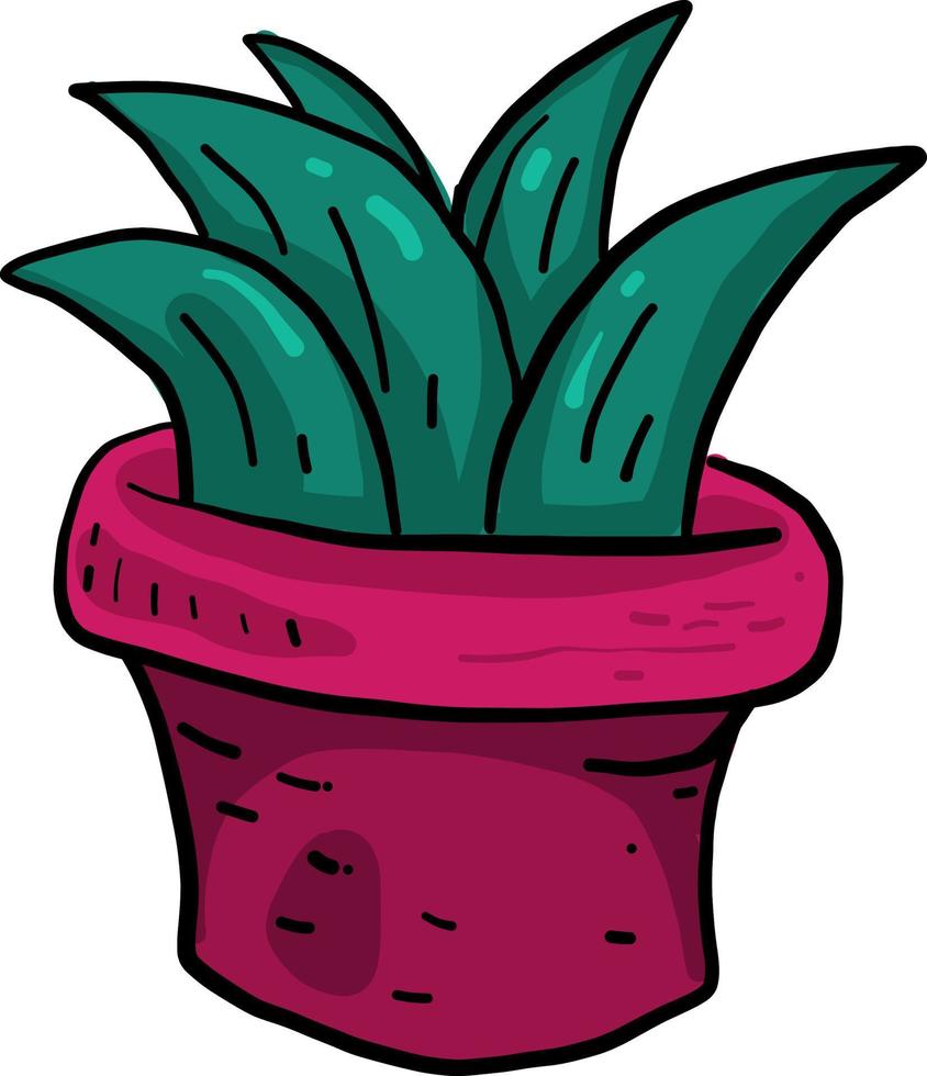 Pflanze in einem rosa Topf, Illustration, Vektor auf weißem Hintergrund.